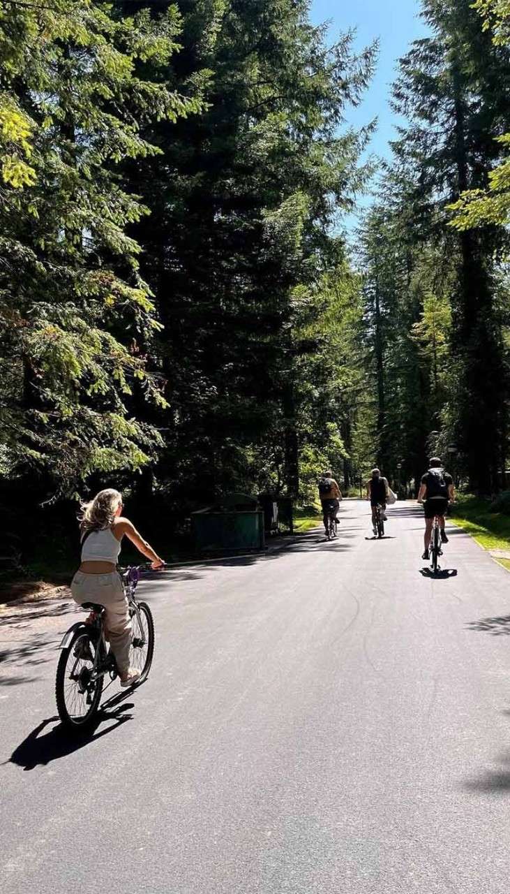 A family cycling during the summer.