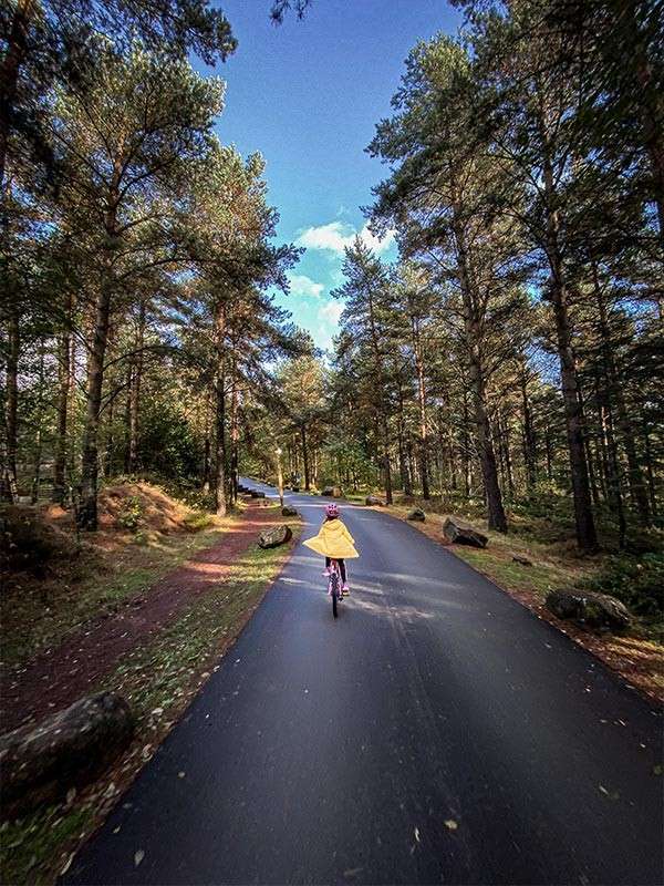A child cycling through the forest.