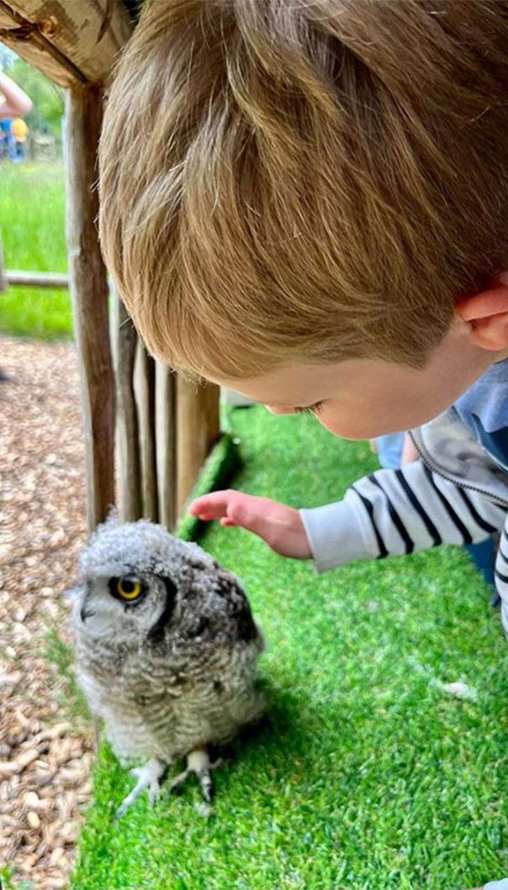 Young boy and his mum holding a baby owl.