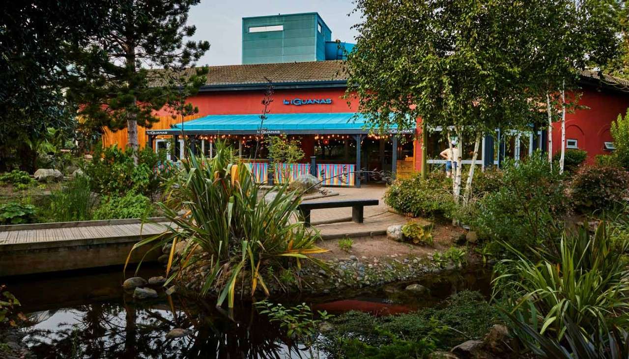 Exterior of Las Iguanas surrounded by bushes